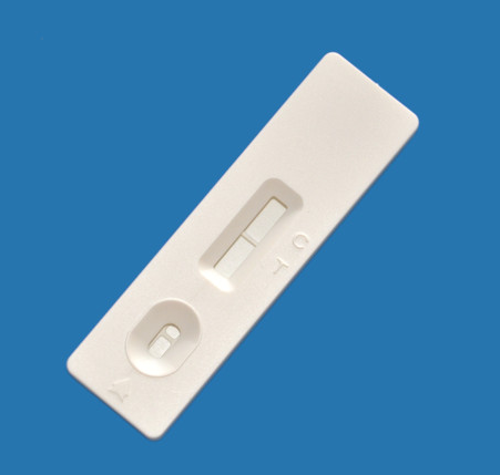 金標(biāo)塑料卡殼