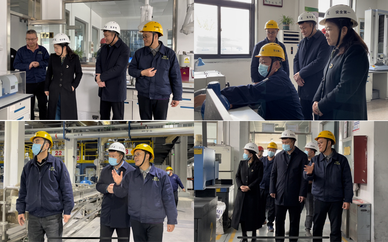 專家組參觀公司的研發(fā)技術(shù)中心、自動(dòng)化生產(chǎn)線